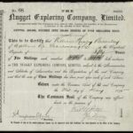 Nugget Exploring Company Ltd-1
