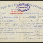 Ophir Deep Lead Gold Mining Company Limited-1