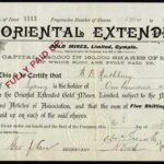 Oriental Extended Gold Mines Limited-1