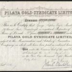 Pilaya Gold Syndicate Limited-1