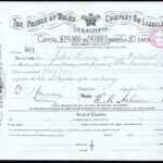 Prince of Wales Company NL-1