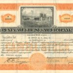 Punta Alegre Sugar Company-1