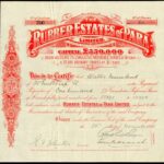 Rubber Estates of Para Ltd-2