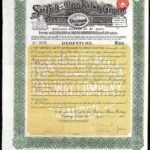 San Paulo and Minas Railway Company Ltd-1