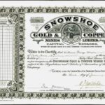 Snowshoe Gold and Copper Mines Ltd-1
