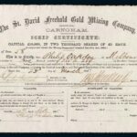 St. David Freehold Gold Mining Company Reg’d-1