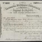 Tasmania Minerals Syndicate Ltd-1