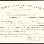 Thornhill Reef Gold Mining Company Ltd .-1