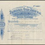 Trafalgar Gold Mine (W A) Ltd-1