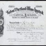 Velvet Portland Mine Ltd-1