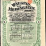 Walker and Meimarachi Limited-1