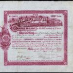 White Feather Main Reef Gold Mining Company Ltd-1