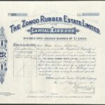 Zongo Rubber Estate Ltd-1