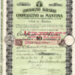 Consorzio Agrario Cooperativo di Mantova-3