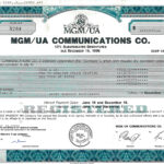 Metro Goldwin Mayer Inc. – MGM-1