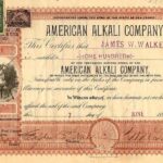 American Alkali Company-1