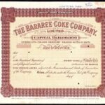 Bararee Coke Company Limited-1