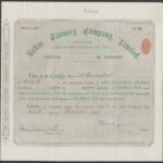 Behar Tannery Company Limited-1