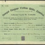 Bengal Nagpur Cotton Mills Ltd.-2