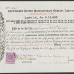 Bhownugger Cotton Manufacturing Company Limited-2