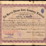 Burra Dhemo Coal Company Limited-1