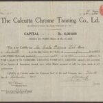 Calcutta Chrome Tanning Company Limited-1