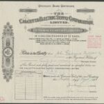 Calcutta Electric Supply Corporation Limited-1