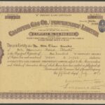 Calcutta Gas Co. (Proprietary) Limited-2