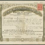 Central India Iron & Brass Foundry Limited-1