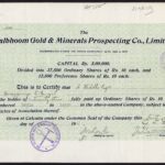 Dalbhoom Gold & Minerals Prospecting Co. Ltd.-1