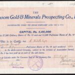Dalbhoom Gold & Minerals Prospecting Co. Ltd.-2