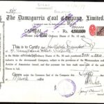 Damagurria Coal Company Ltd.-1