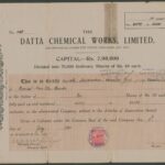 Datta Chemical Works Limited-1