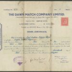 Dawn Match Company Limited-1