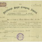 Durbhanga Sugar Company Limited-1