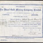 Dwarf Gold Mining Company Ltd-1