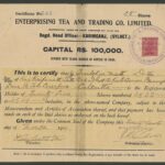 Enterprising Tea and Trading Co. Ltd.-1