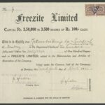 Freezite Limited-1