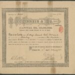 G McKenzie & Co. (1919) Limited-1