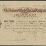 Gaekwar Oil and Chemical Company Limited-1