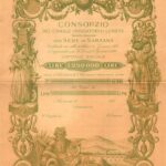 Consorzio del Canale Irrigatorio Lunese – Sarzana-1