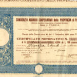 Consorzio Agrario Cooperativo della Provincia di Padova-2