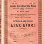 Consorzio Agrario Cooperativo Molisano-1