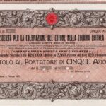 Coltivazione del Cotone nella Colonia Eritrea Soc. per la-1