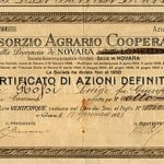 Consorzio Agrario Cooperativo della Provincia di Novara-2