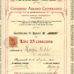 Consorzio Agrario Cooperativo in Bagnacavallo-2