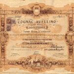 Cognac Avellino S.A.-1