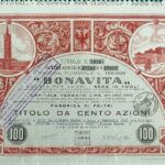 Bonavita Fabbrica di Feltri-8