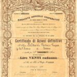 Sindacato Agricolo Cooperativo del Comizio Agrario-1