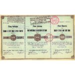 Osterreichischen central-boden-credit-bank-1